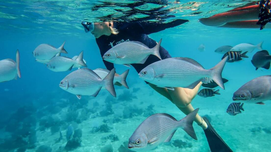 Foto: Cancun Adventures