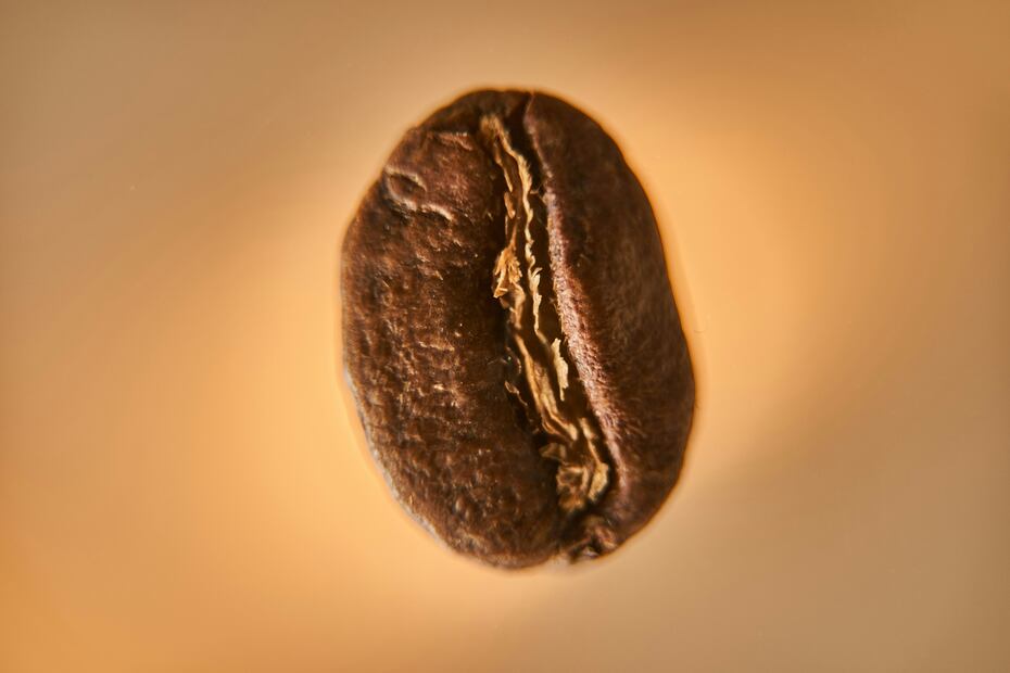 Grano de café. Foto: Unsplash