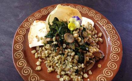 Analizan propiedades del huitlacoche para controlar la diabetes