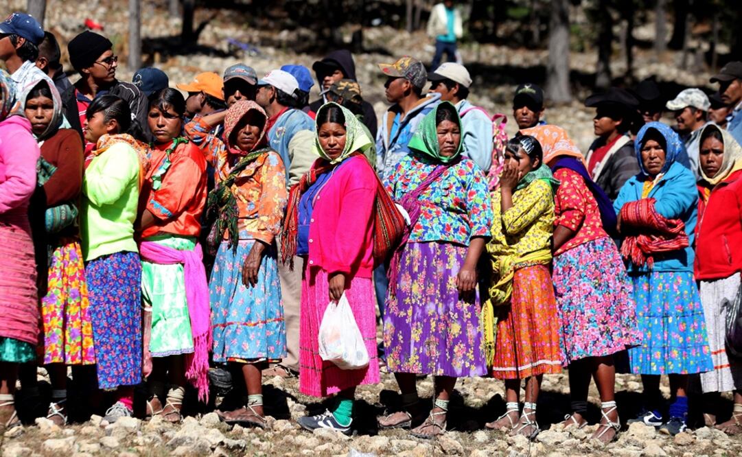 7 out of every 100 people in Mexico speak one of all 72 indigenous languages present in the national territory - Photo: Ariel Ojeda Urique/EL UNIVERSAL