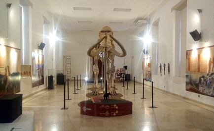 Mamut de Ecatepec llega a Durango