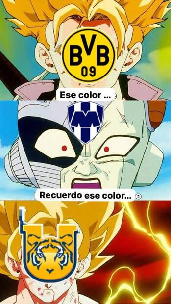 Los mejores y más tristes MEMES de la eliminación de Rayados de Monterrey
