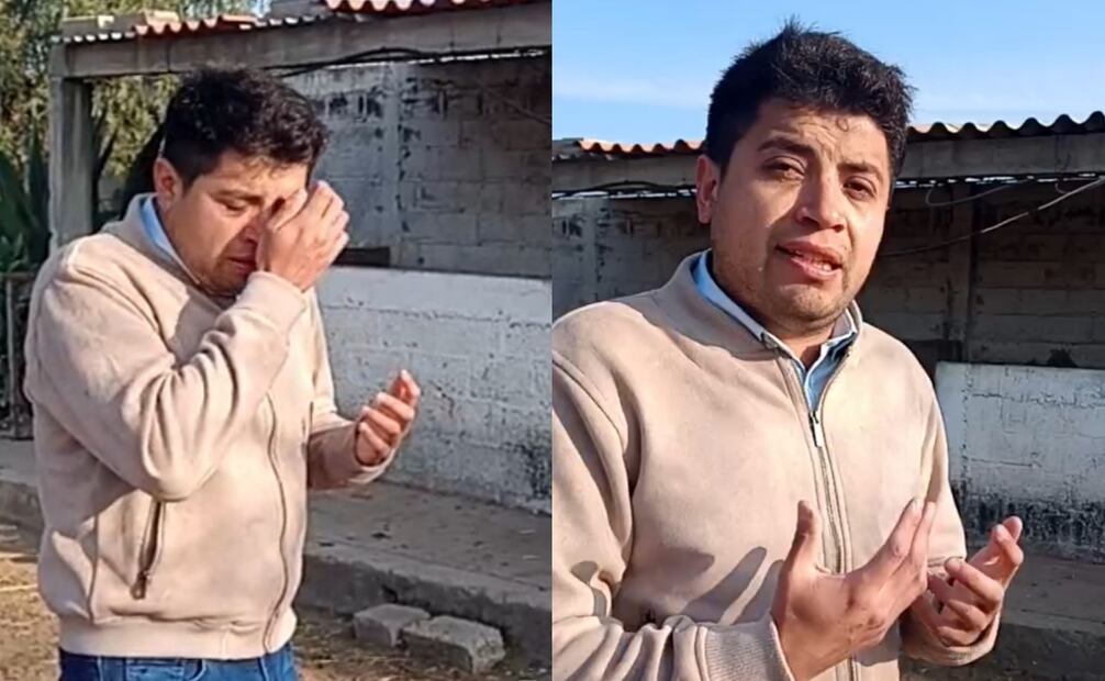 Reportan robo de burritos y caballos de "Burrolandia". Foto: Captura de video