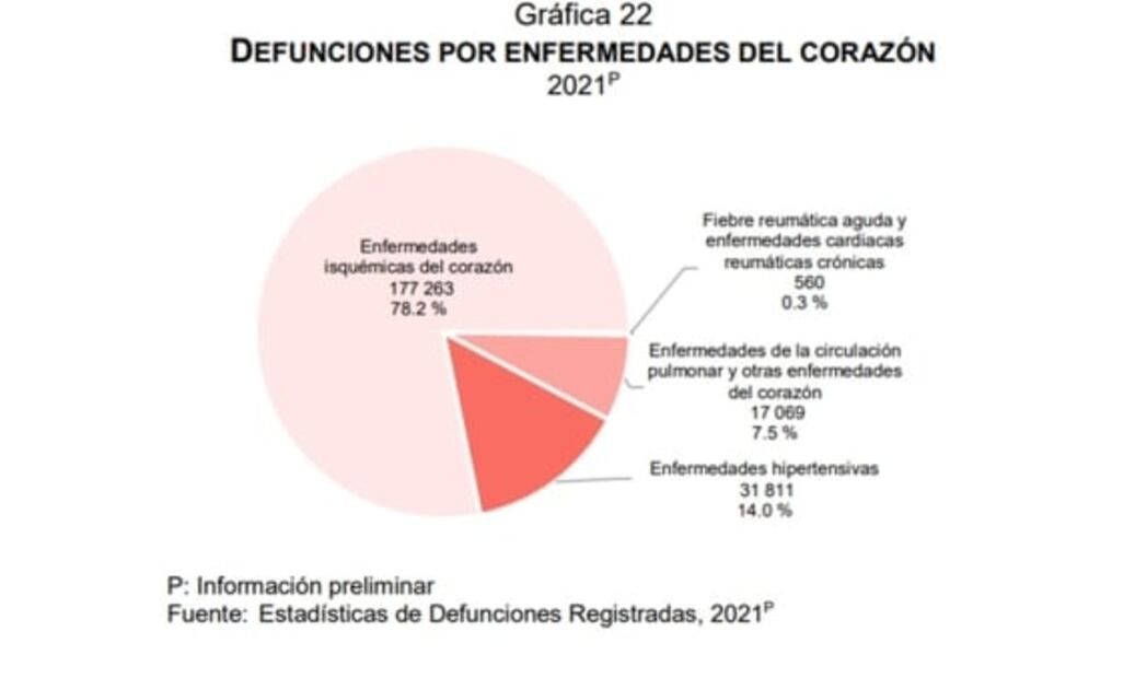 Las 8 gráficas del Inegi que muestran las principales causas de muerte en México