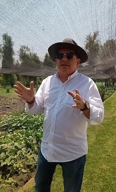 Las chinampas, la opción más sustentable para la alimentación chilanga