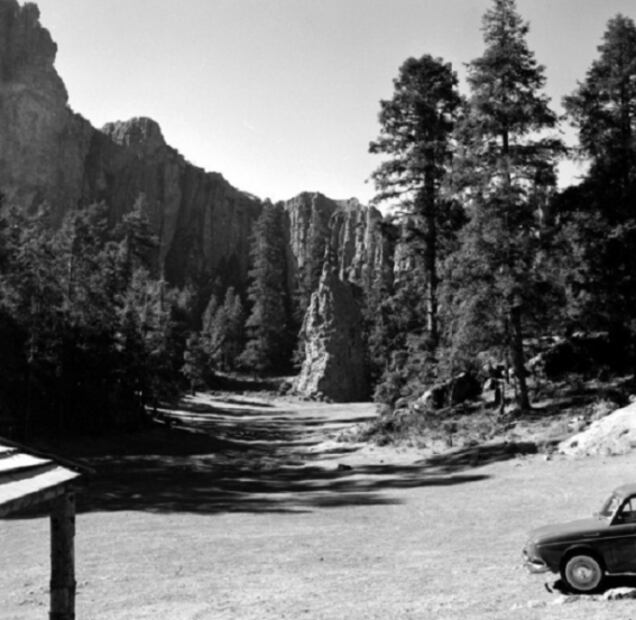 La belleza de nuestro primer Bosque Nacional 