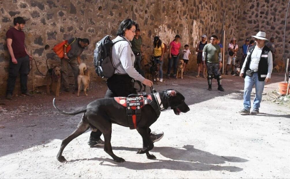 2do Taller de Rescate para lomitos en Tlalpan. Foto: Especial