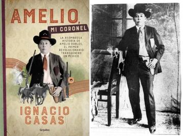 Las dos guerras del coronel Amelio Robles