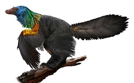 "Dinosaurio arcoíris" tenía plumas iridiscentes como los colibríes