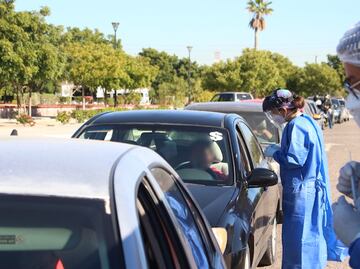 Reportan más de 900 contagios diarios de Covid-19 en Baja California Sur