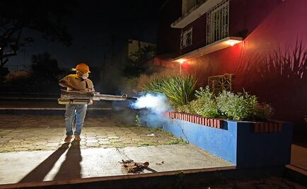 Tras muerte de niño de 5 años, confirman 280 casos de dengue en Oaxaca