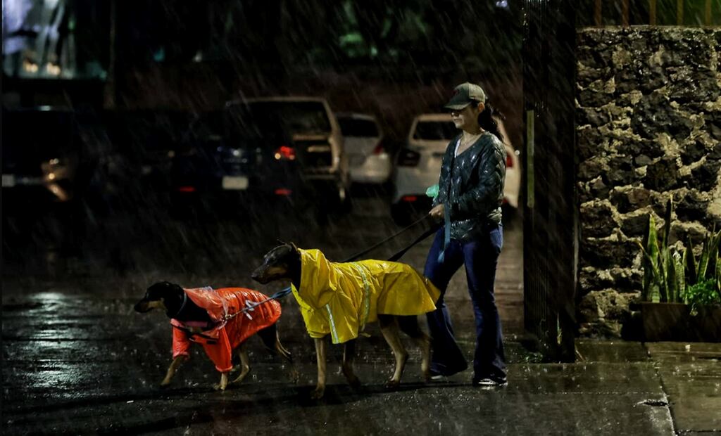 Fuerte lluvia se registró la noche del miércoles al sur de la Ciudad de México, el 16 de julio de 2025. Foto: Fernanda Rojas/EL UNIVERSAL