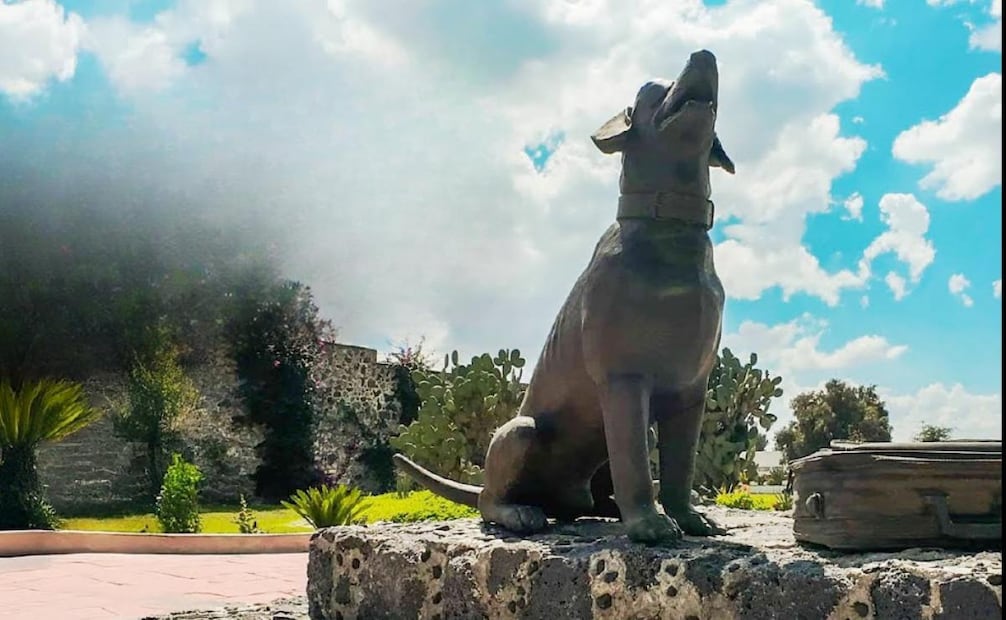 Morgan, el perro tuerto que se convirtió en una estatua de bronce del Senasica. Foto: Captura