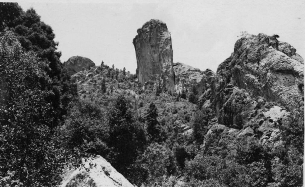 La belleza de nuestro primer Bosque Nacional 