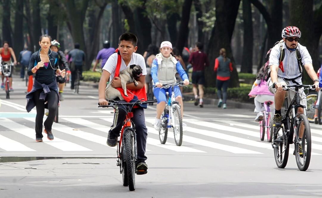 Ariel Ojeda/ ARCHIVO EL UNIVERSAL