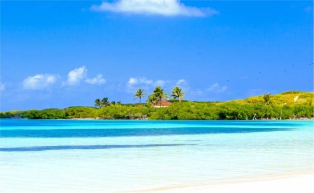 Contoy, la hermosa isla mexicana que solo permite 200 visitantes al día