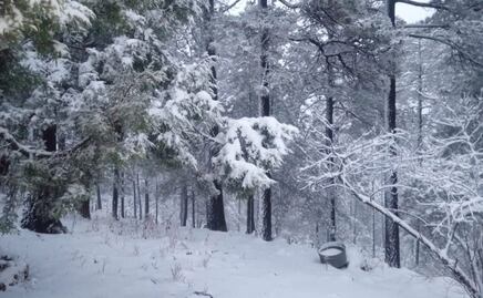 Tercera tormenta invernal deja nevadas en tres municipios de Chihuahua; reportan lluvias en otras regiones