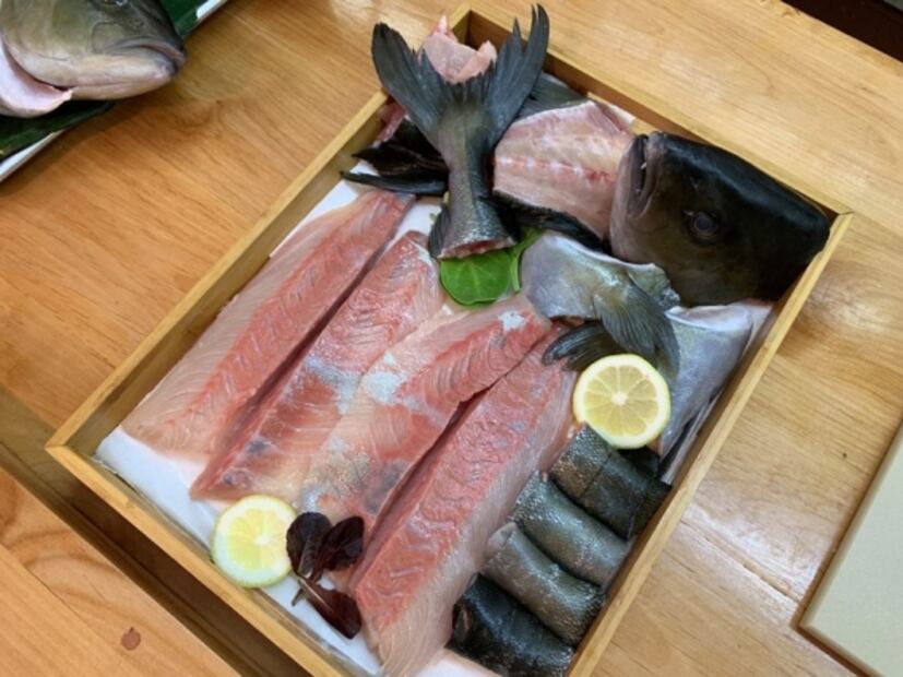 Kampachi, uno de los reyes marinos de México para el mundo