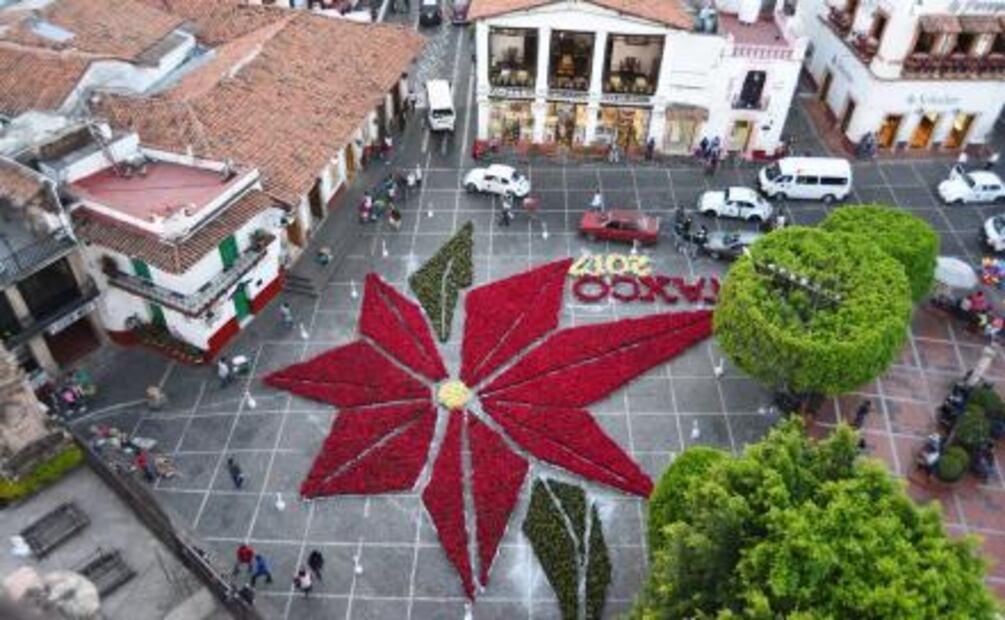 Cuetlaxóchitl, la flor que EU secuestró 
