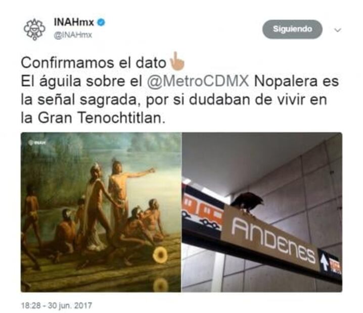 INAH "confirma" señal sagrada de águila en Metro Nopalera