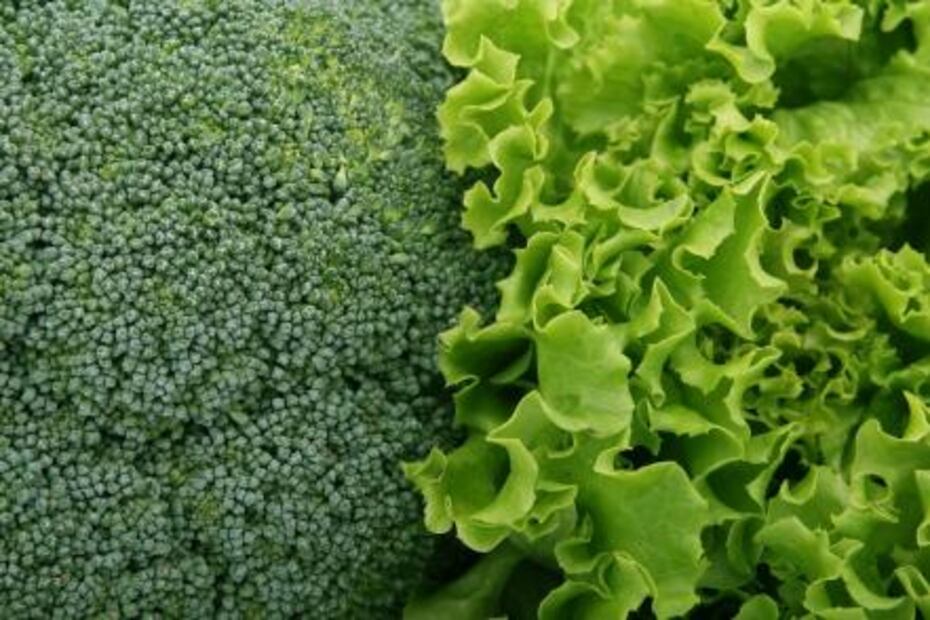 10 razones para comer verduras de hoja verde 