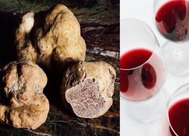 Tartufo + Barolo, el dúo dinámico a la italiana
