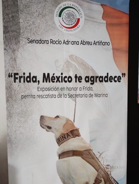 Frida: Inaugura Senado exposición fotográfica post mortem de la perrita rescatista