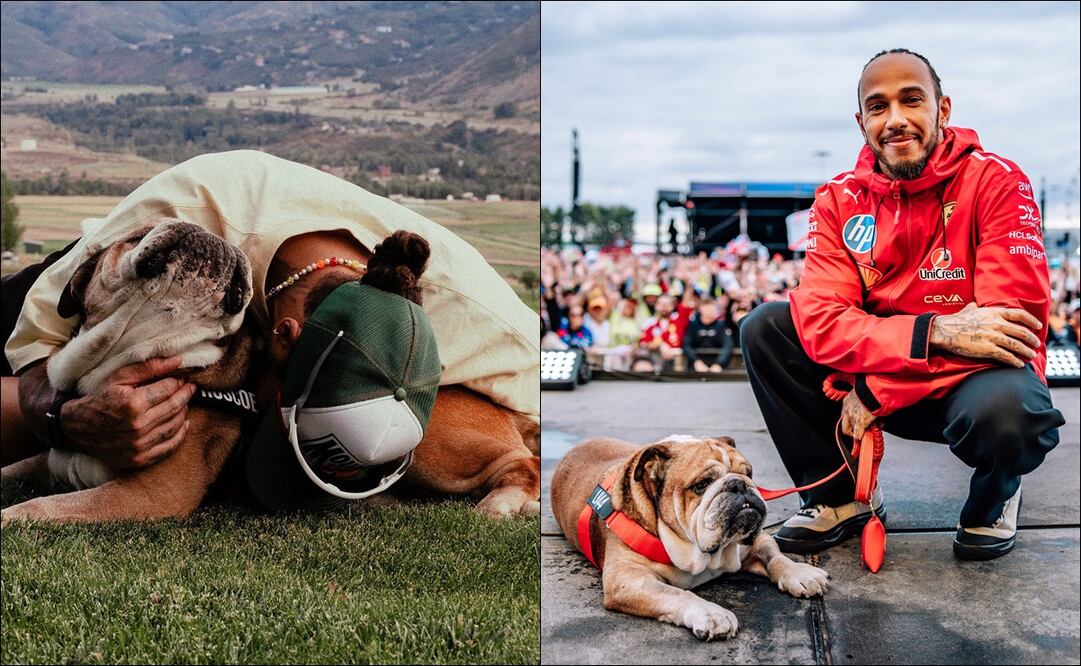 Lewis Hamilton comunicó la muerte de Roscoe con emotivo mensaje: “Una de las experiencias más dolorosas” / FOTOS: @LewisHamilton