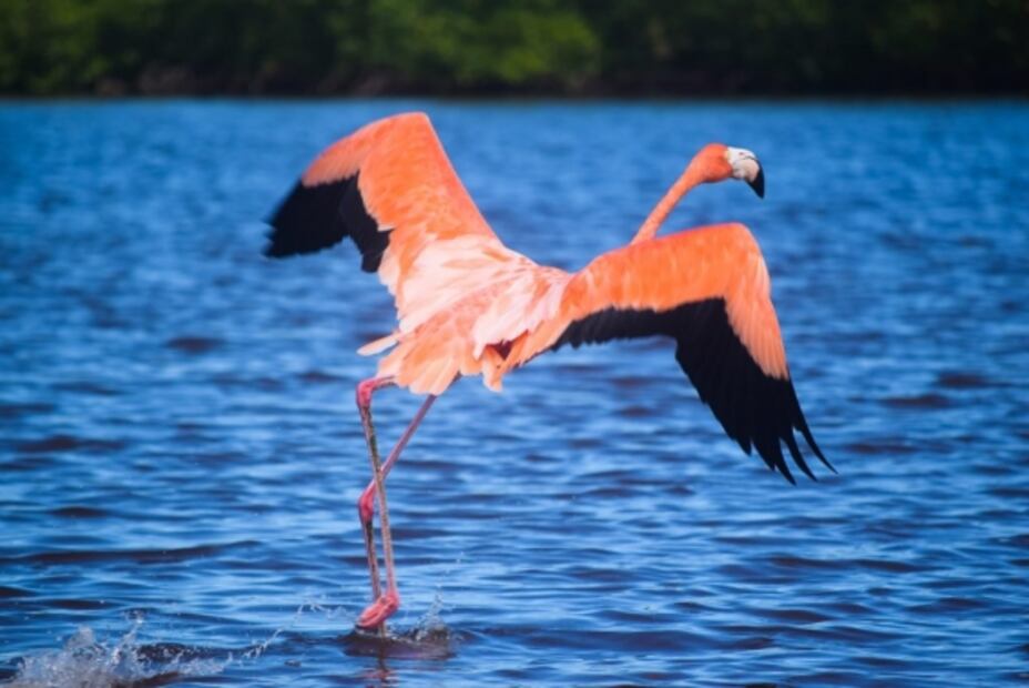 El Cuyo, la playa escondida de Yucatán con un mar de color turquesa