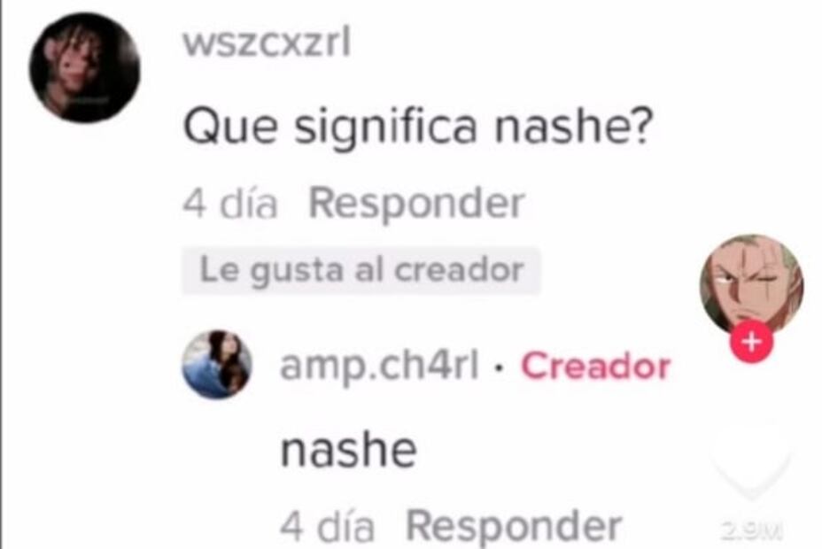 ¿Cuál es el significado de la palabra 'nashe' en TikTok?