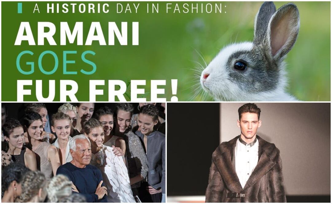 FOTOS: Twitter @FurFreeAlliance/Archivo