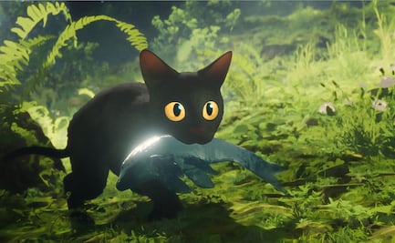 ¿Qué ver?: “Flow”, referente del cine moderno animado a nivel mundial