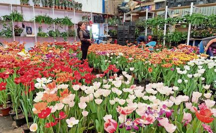 “Perdimos hasta 10 mdp por incendio”: locatarios de la Central de Abasto de la CDMX