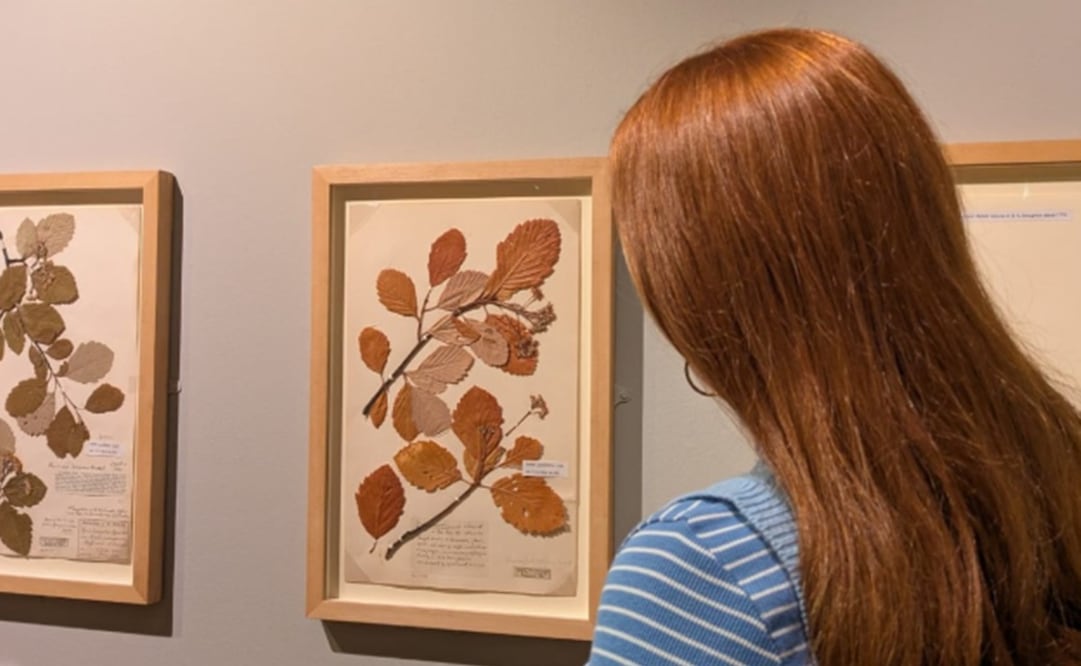 Foto: Instagram oficial.