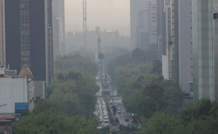 Se activa Fase I de Contingencia Ambiental por ozono en la zona metropolitana