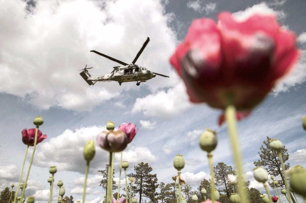 Los helicópteros Black Hawk, Halcón 74 y Halcón 67, recién adquiridos por la Fuerza Aérea Mexicana, sobrevuelan el territorio dominado por el Cártel de Sinaloa para detectar sembradíos de droga (CRISTOPHER ROGEL BLANQUET)