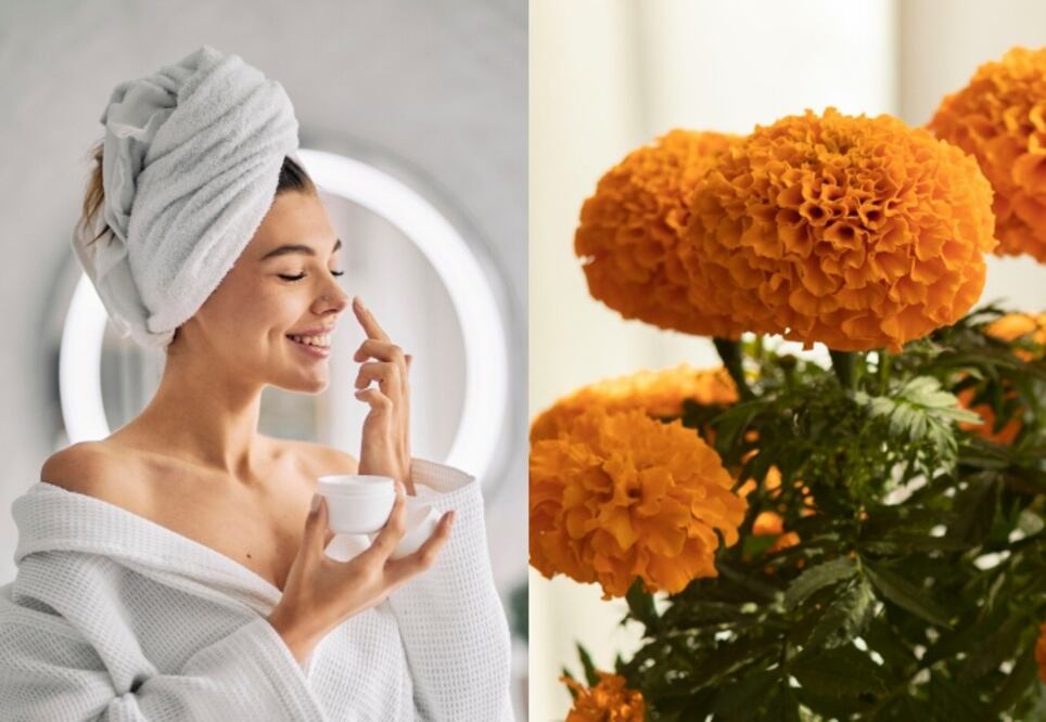Estos son los beneficios del cempasúchil para la piel. Foto: Freepik / Unsplash