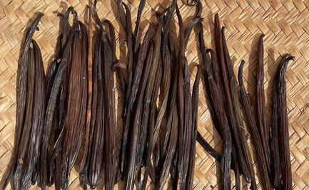 Conoce la magnífica vainilla mexicana