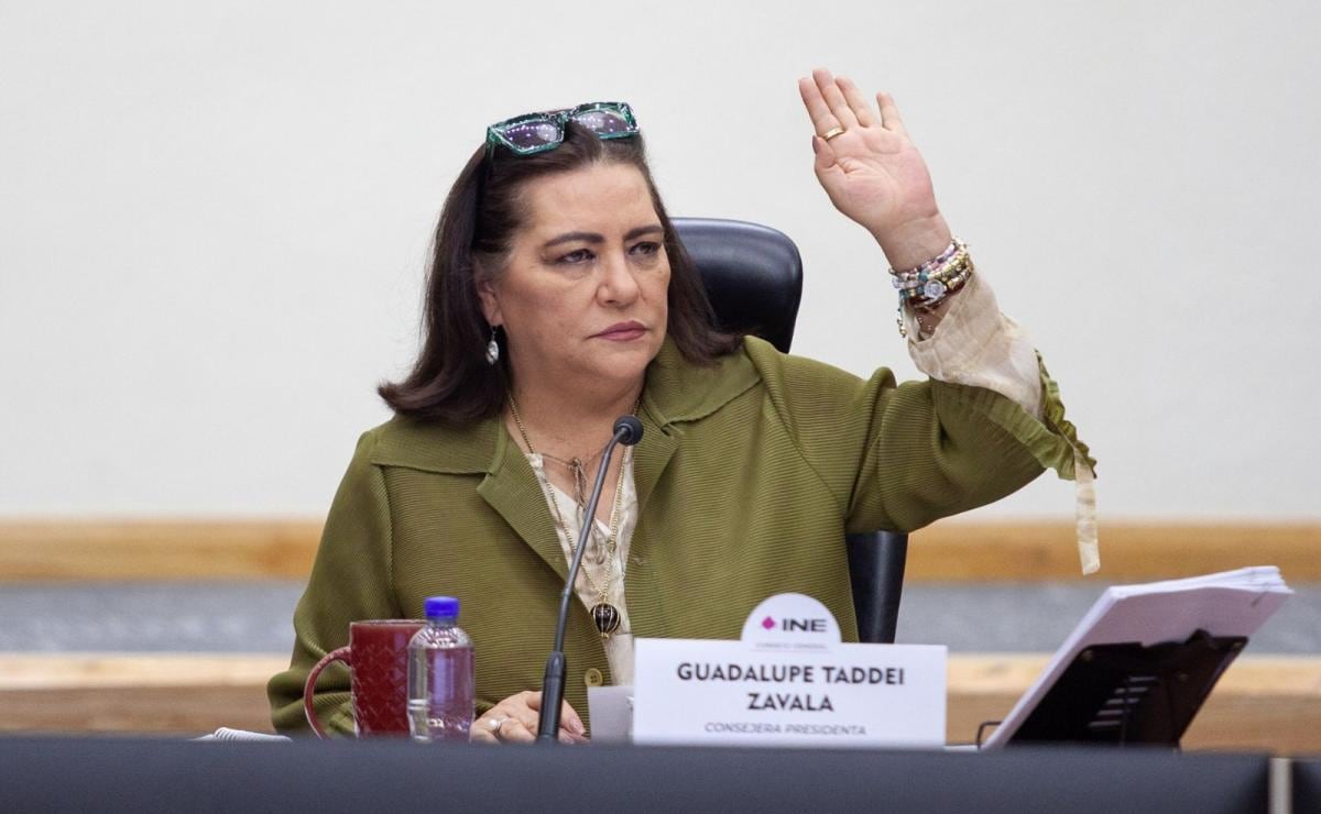 Guadalupe Taddei Zavala, consejera presidenta del INE. Foto: Andrea Murcia / Cuartoscuro.com