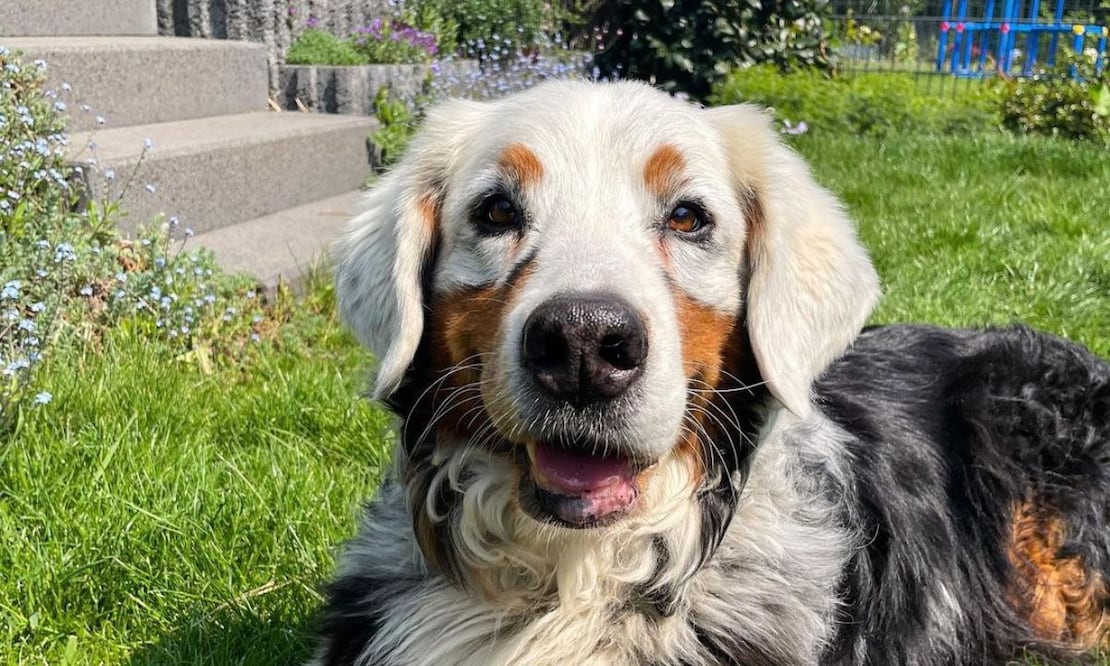 Fanny. Fuente: Instagram @fannyasfresh