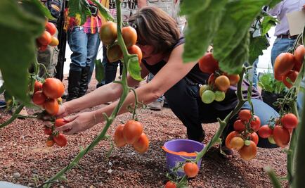 Actividad económica tiene alza del 2.8% anual