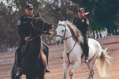 Jalan las riendas al crimen en CDMX