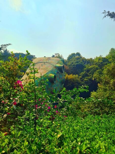 Foto: Vanessa Pérez