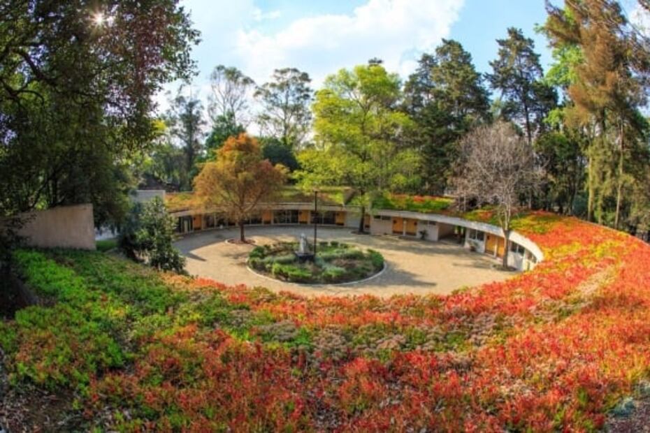 Cuándo empieza el Festival del Bosque de Chapultepec 2023