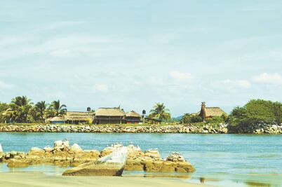 Comunidades impulsan un corredor verde en Oaxaca