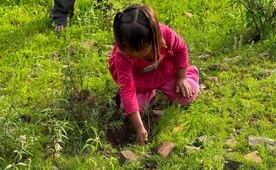 Jornada de Reforestación 2026: ¿cómo y dónde puedo participar?; consulta aquí la ubicación exacta en tu estado