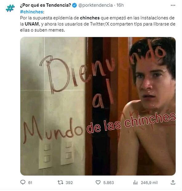 Meme sobre chinches. Foto: Twitter
