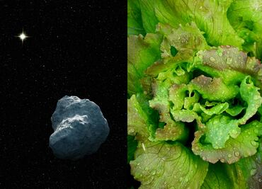 ¿Se puede cultivar alimentos en un asteroide?