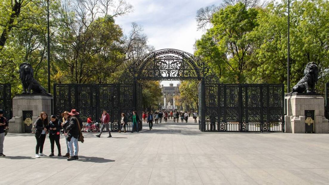 Bosque de Chapultepec. Foto: Facebook Bosque de Chapultepec