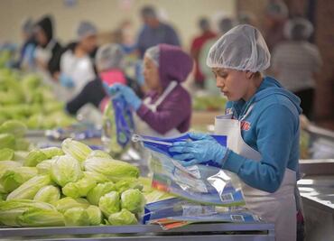 Acuerdan autoridades laborales y embajadas verificar ofertas de empleo en el extranjero para evitar fraudes